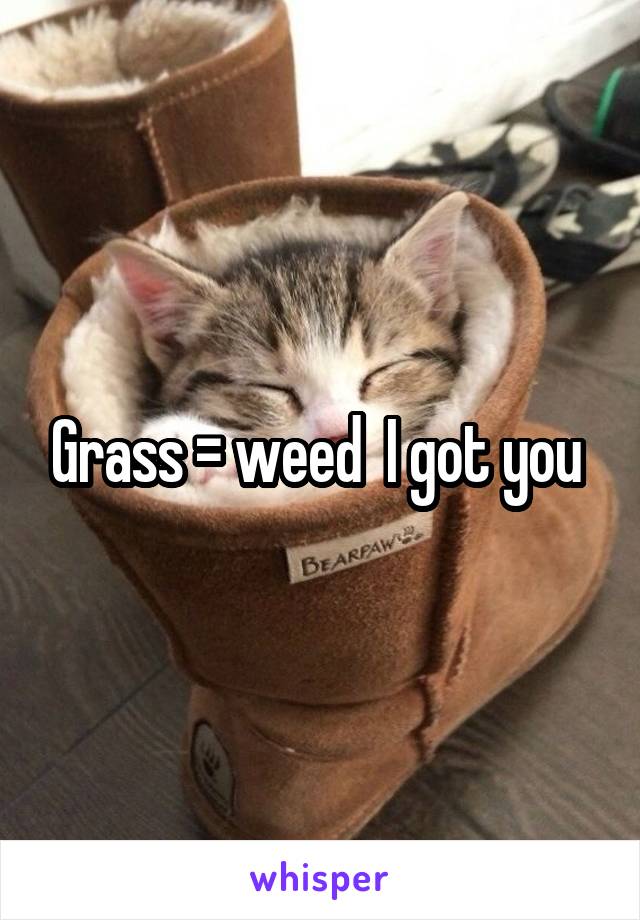 Grass = weed  I got you 