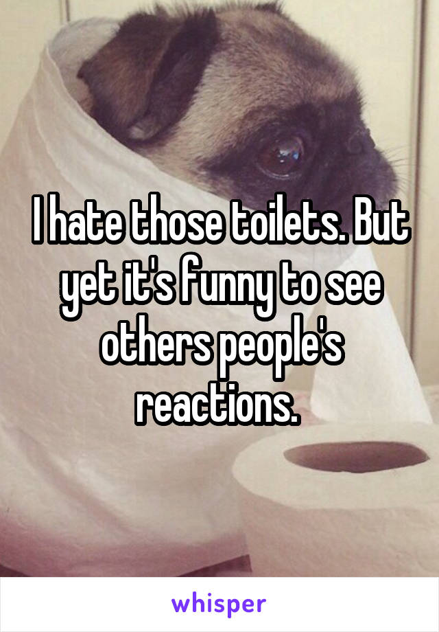 I hate those toilets. But yet it's funny to see others people's reactions. 