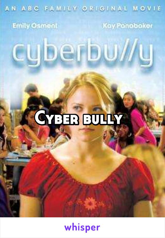 Cyber bully  