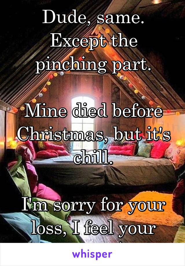 Dude, same. Except the pinching part.

Mine died before Christmas, but it's chill.

I'm sorry for your loss, I feel your pain. :")