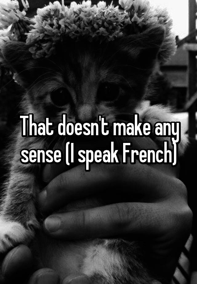 that-doesn-t-make-any-sense-i-speak-french