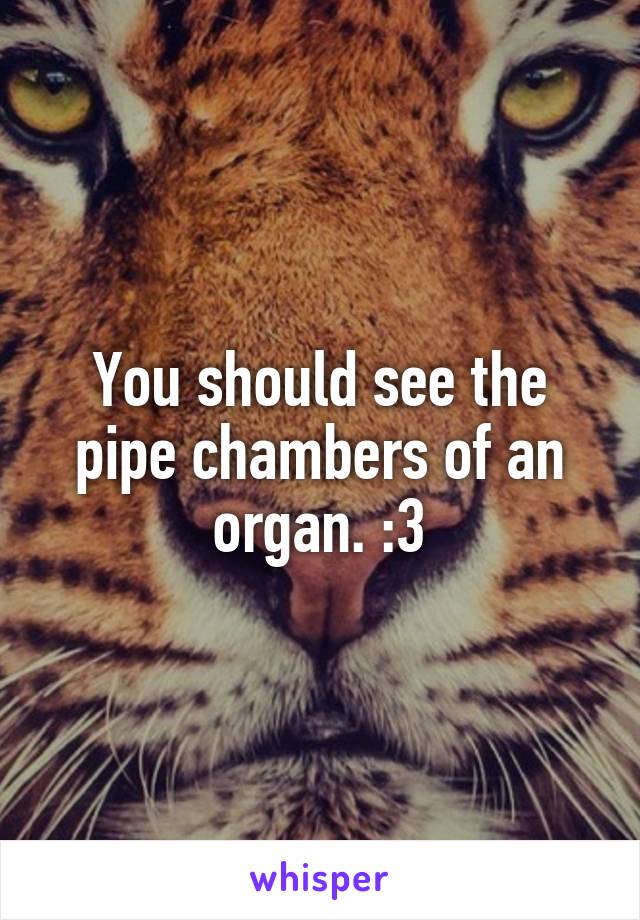 You should see the pipe chambers of an organ. :3