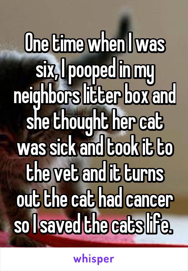 One time when I was six, I pooped in my neighbors litter box and she thought her cat was sick and took it to the vet and it turns out the cat had cancer so I saved the cats life. 