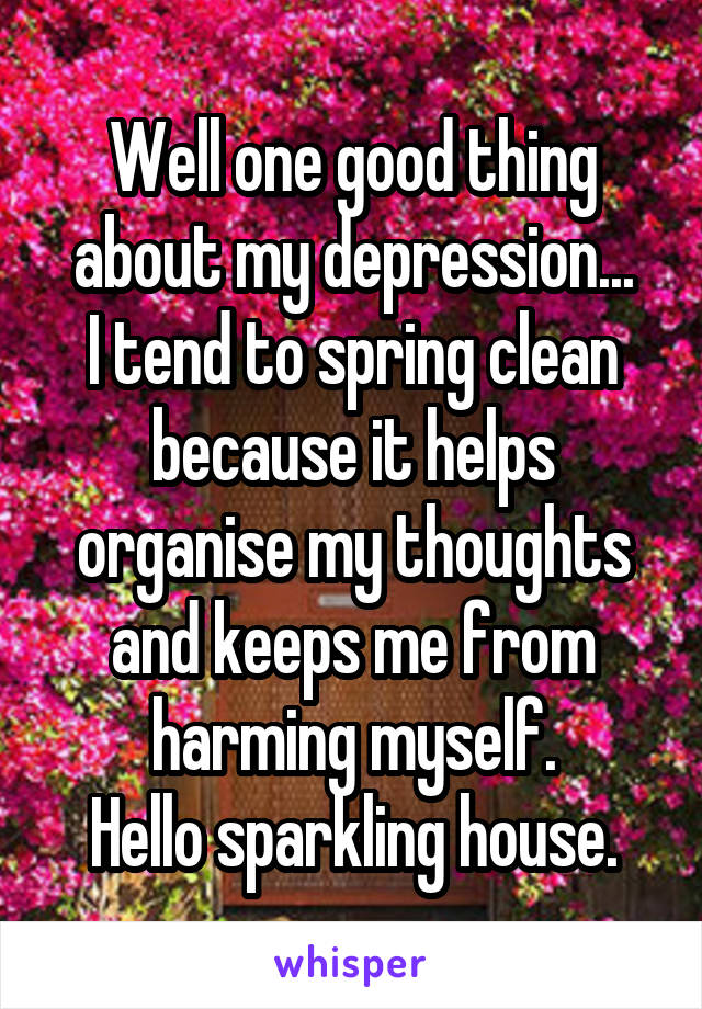 Well one good thing about my depression...
I tend to spring clean because it helps organise my thoughts and keeps me from harming myself.
Hello sparkling house.