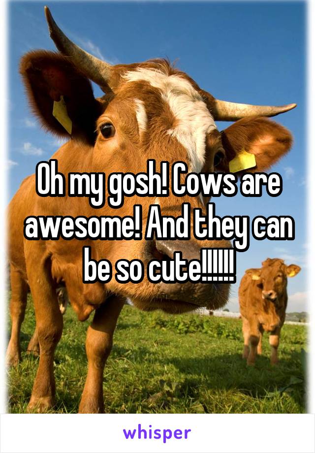 Oh my gosh! Cows are awesome! And they can be so cute!!!!!!