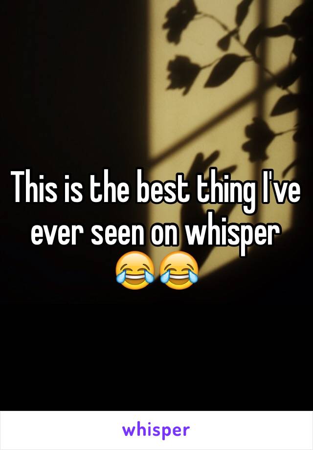 This is the best thing I've ever seen on whisper 😂😂