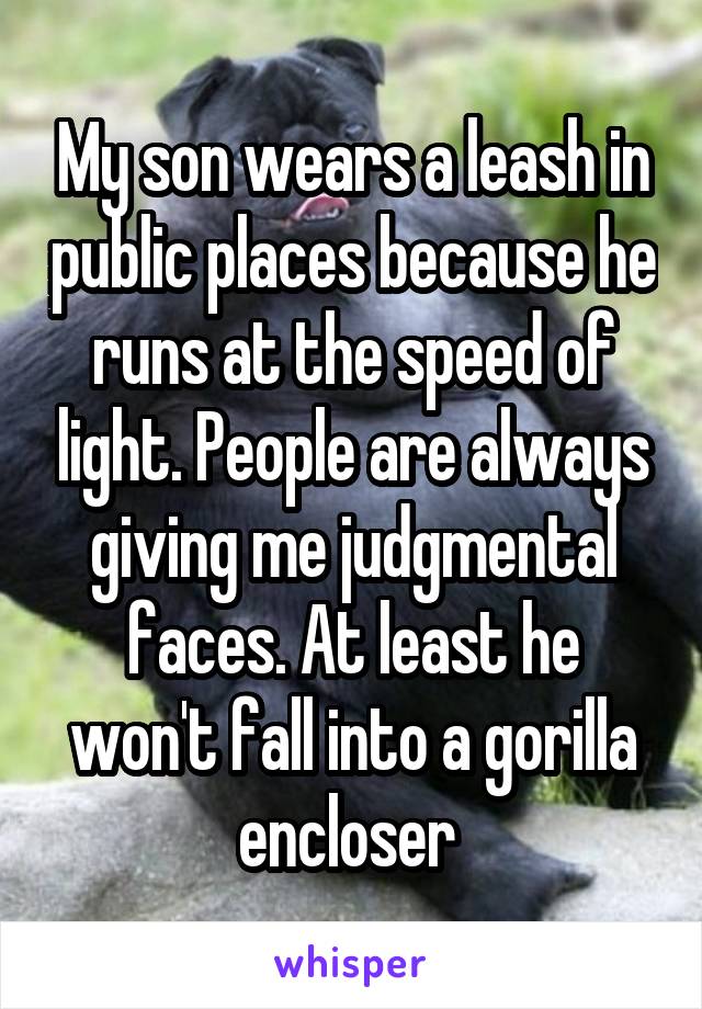 My son wears a leash in public places because he runs at the speed of light. People are always giving me judgmental faces. At least he won't fall into a gorilla encloser 