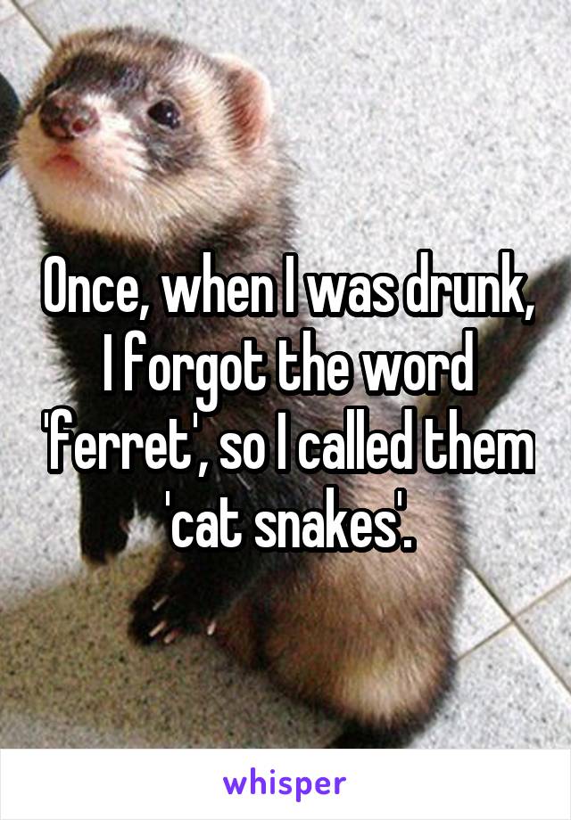 Once, when I was drunk, I forgot the word 'ferret', so I called them 'cat snakes'.