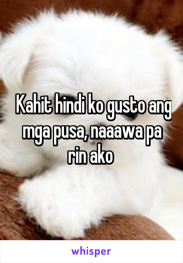  Kahit hindi ko gusto ang mga pusa, naaawa pa rin ako 