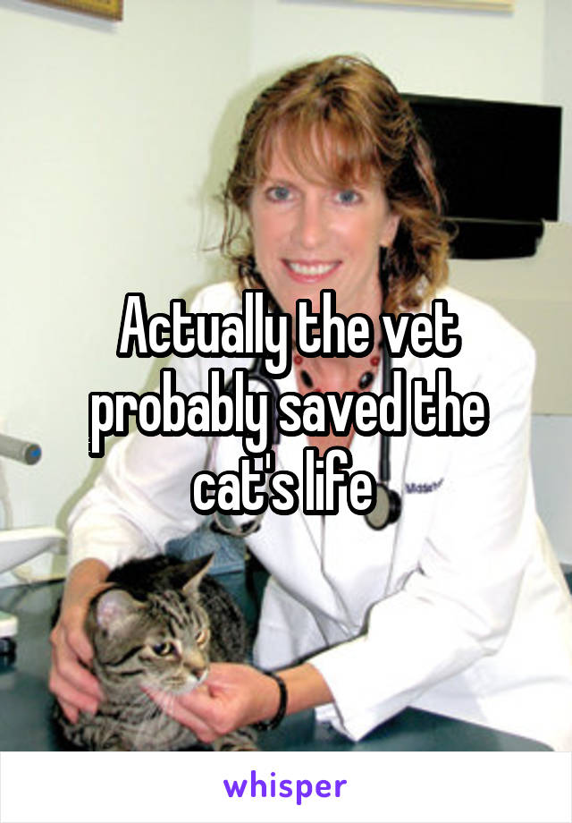 Actually the vet probably saved the cat's life 