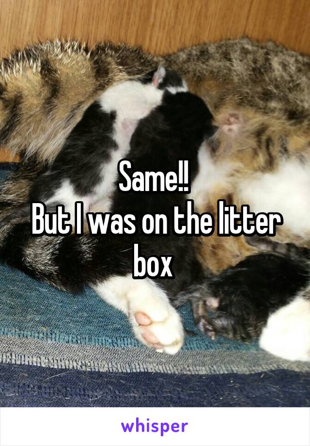 Same!! 
But I was on the litter box 