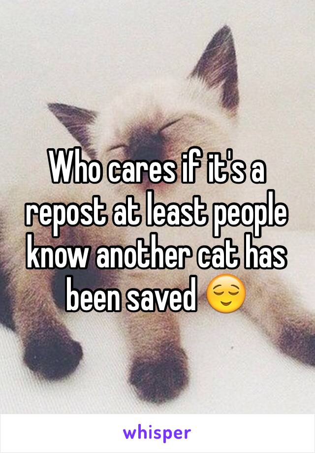 Who cares if it's a repost at least people know another cat has been saved 😌