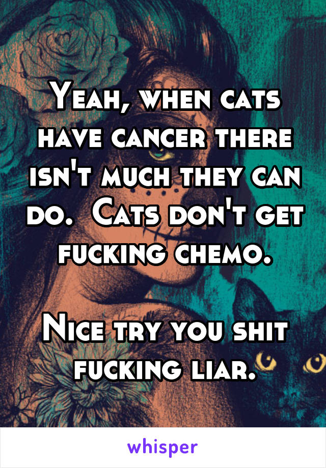 Yeah, when cats have cancer there isn't much they can do.  Cats don't get fucking chemo.

Nice try you shit fucking liar.