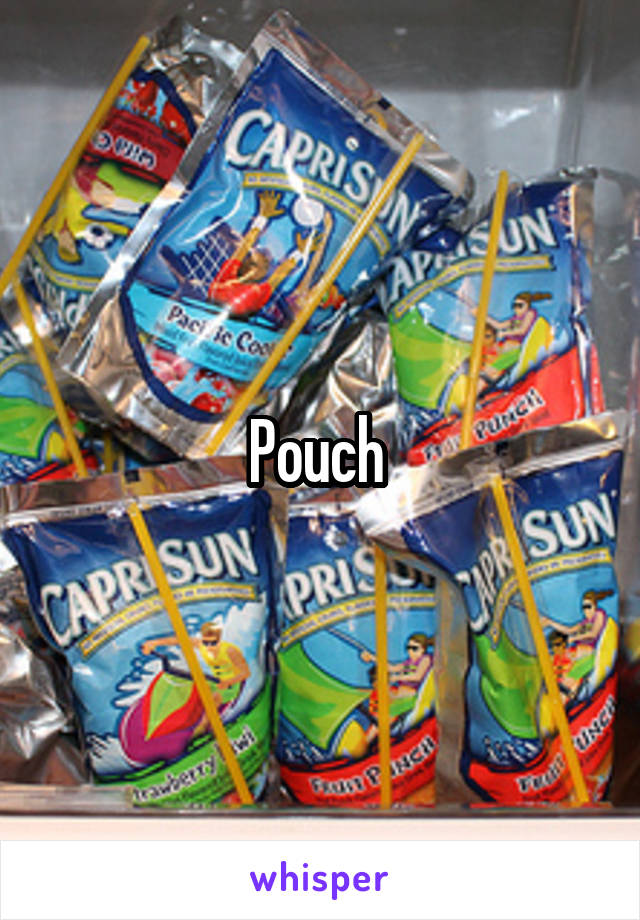 Pouch 