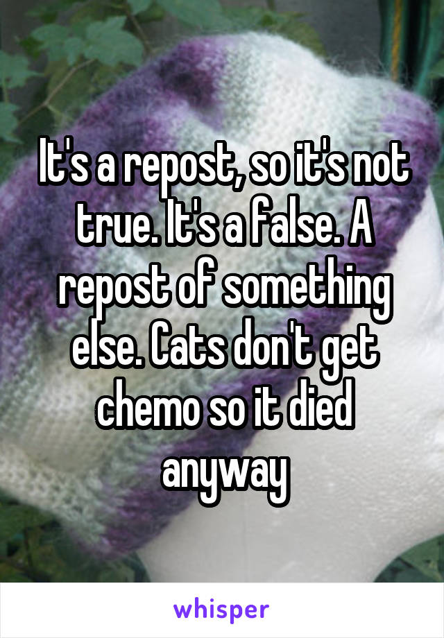 It's a repost, so it's not true. It's a false. A repost of something else. Cats don't get chemo so it died anyway