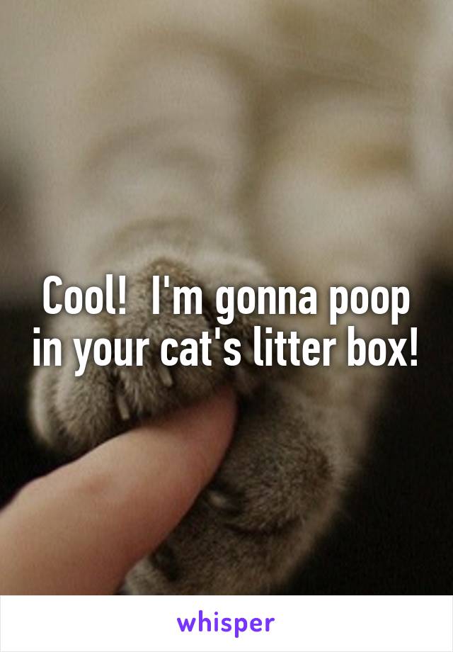 Cool!  I'm gonna poop in your cat's litter box!
