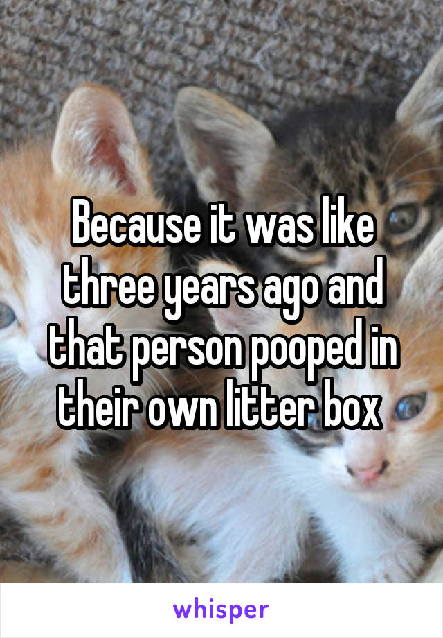 Because it was like three years ago and that person pooped in their own litter box 