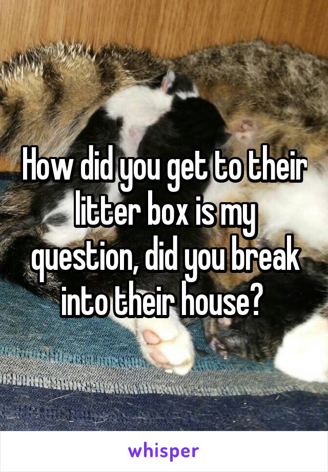 How did you get to their litter box is my question, did you break into their house? 