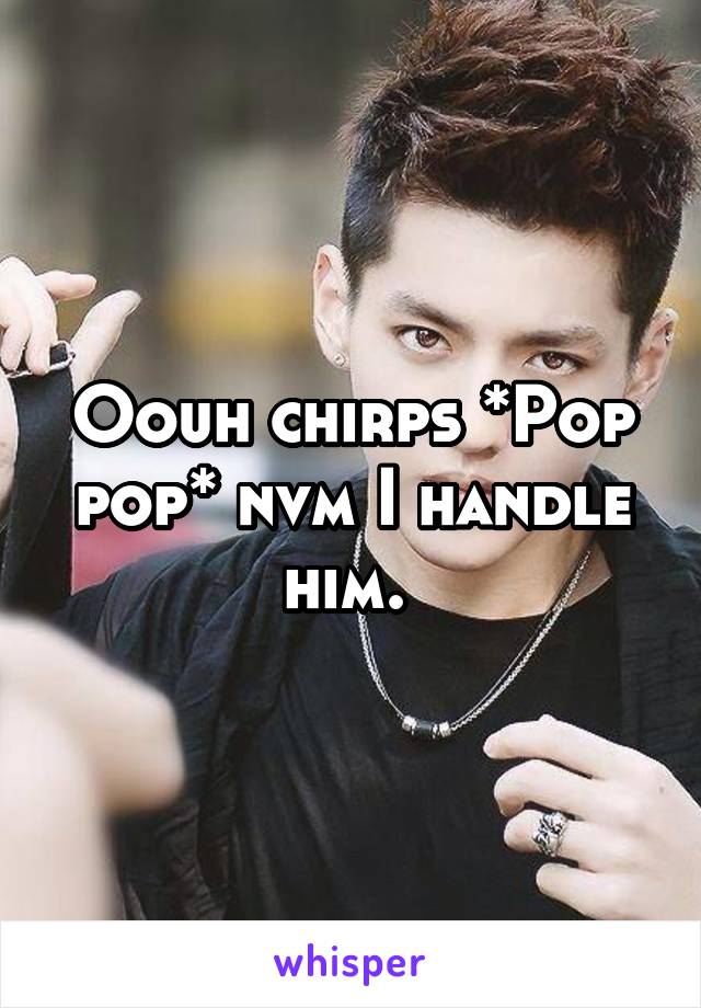 Oouh chirps *Pop pop* nvm I handle him. 