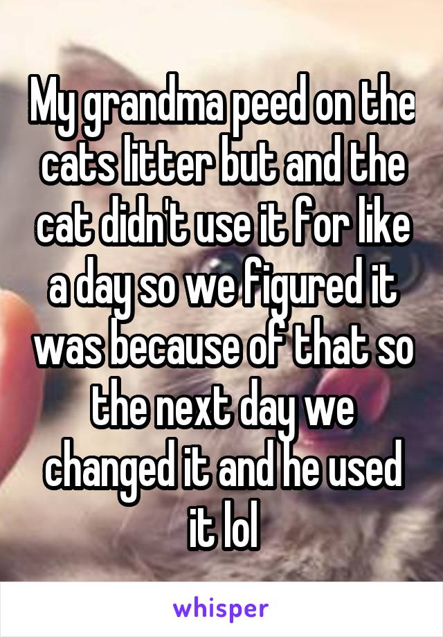 My grandma peed on the cats litter but and the cat didn't use it for like a day so we figured it was because of that so the next day we changed it and he used it lol