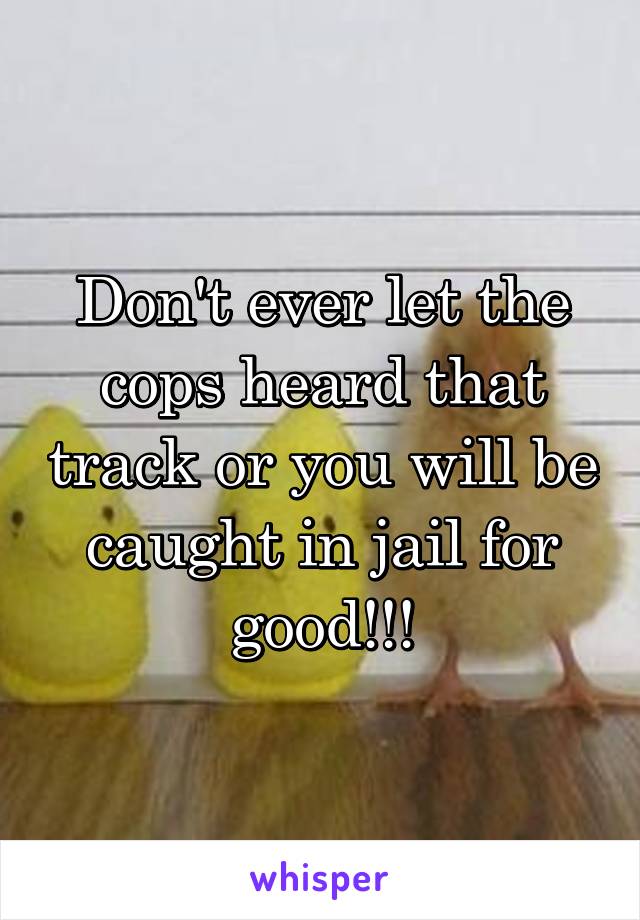 Don't ever let the cops heard that track or you will be caught in jail for good!!!