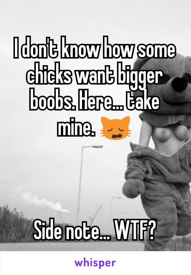 I don't know how some chicks want bigger boobs. Here... take mine. 🙀



Side note... WTF?