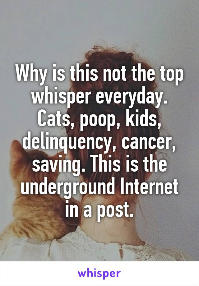 Why is this not the top whisper everyday. Cats, poop, kids, delinquency, cancer, saving. This is the underground Internet in a post.