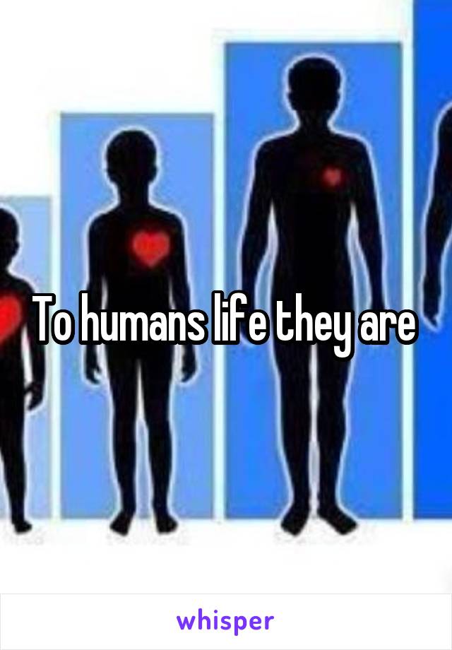 To humans life they are 