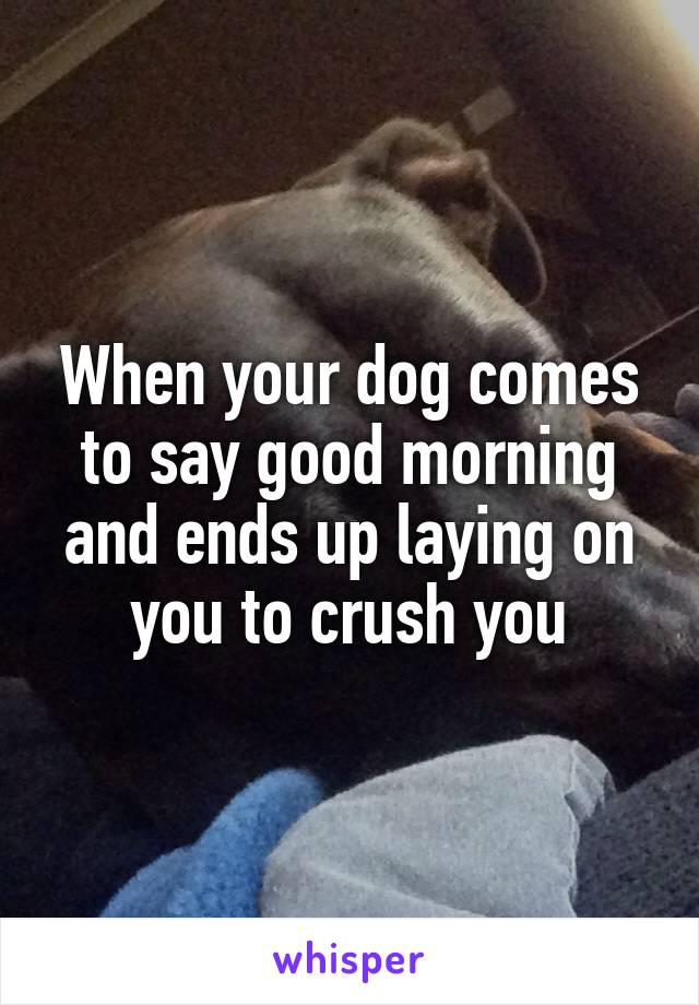 When your dog comes to say good morning and ends up laying on you to crush you