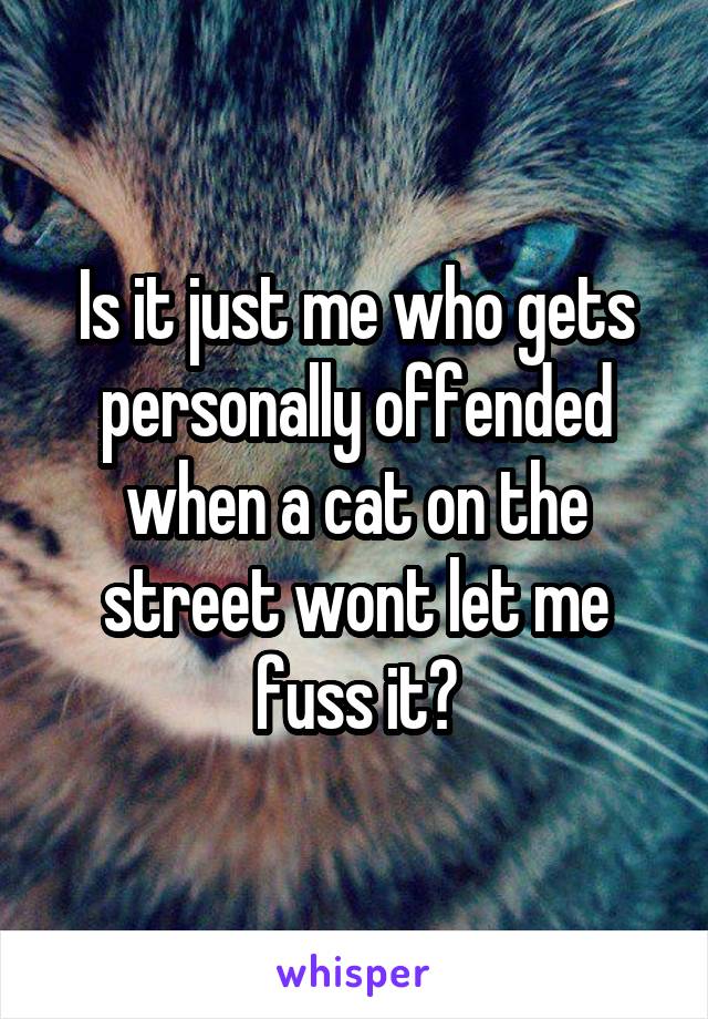 Is it just me who gets personally offended when a cat on the street wont let me fuss it?