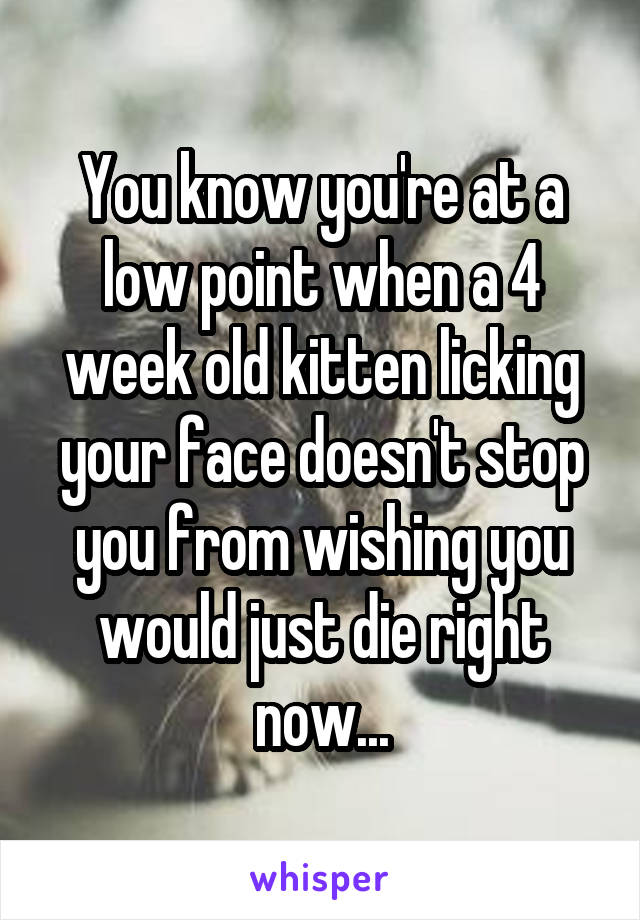 You know you're at a low point when a 4 week old kitten licking your face doesn't stop you from wishing you would just die right now...