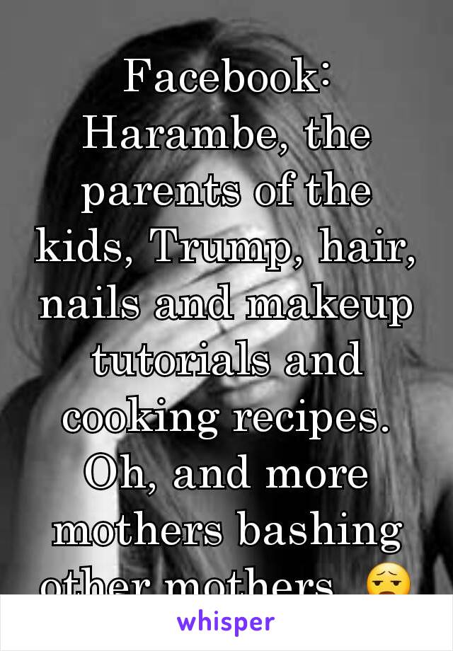 Facebook: Harambe, the parents of the kids, Trump, hair, nails and makeup tutorials and cooking recipes. Oh, and more mothers bashing other mothers. 😧