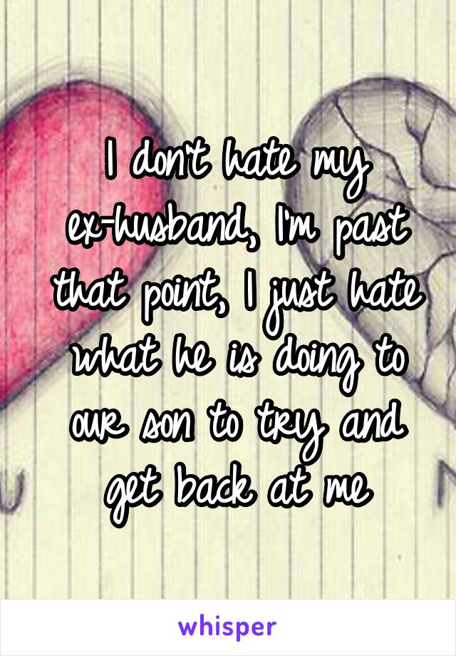 I don't hate my ex-husband, I'm past that point, I just hate what he is doing to our son to try and get back at me