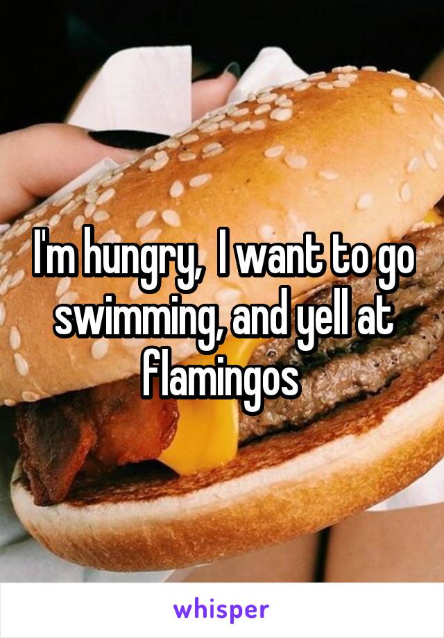 I'm hungry,  I want to go swimming, and yell at flamingos 