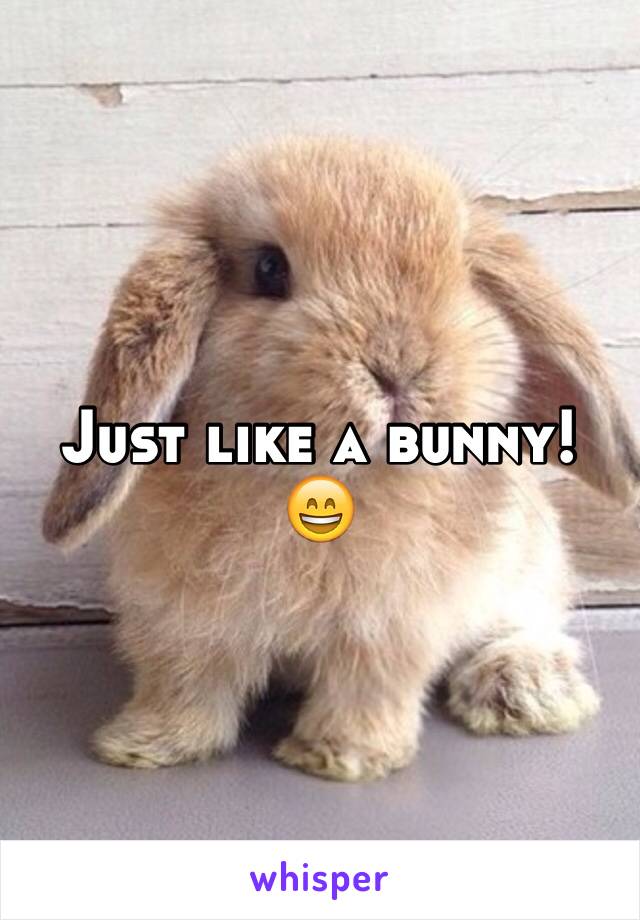 Just like a bunny! 😄