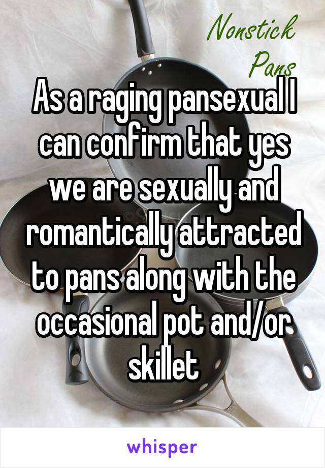 As a raging pansexual I can confirm that yes we are sexually and romantically attracted to pans along with the occasional pot and/or skillet