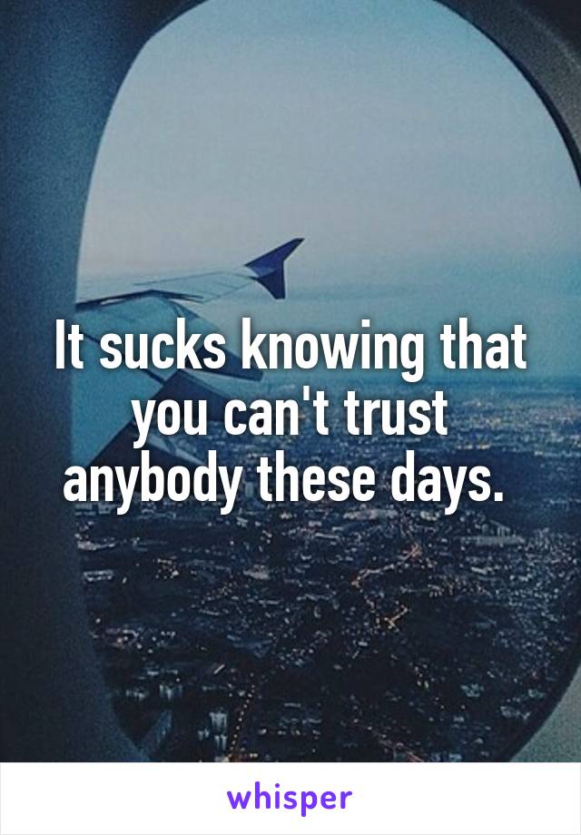 It sucks knowing that you can't trust anybody these days. 