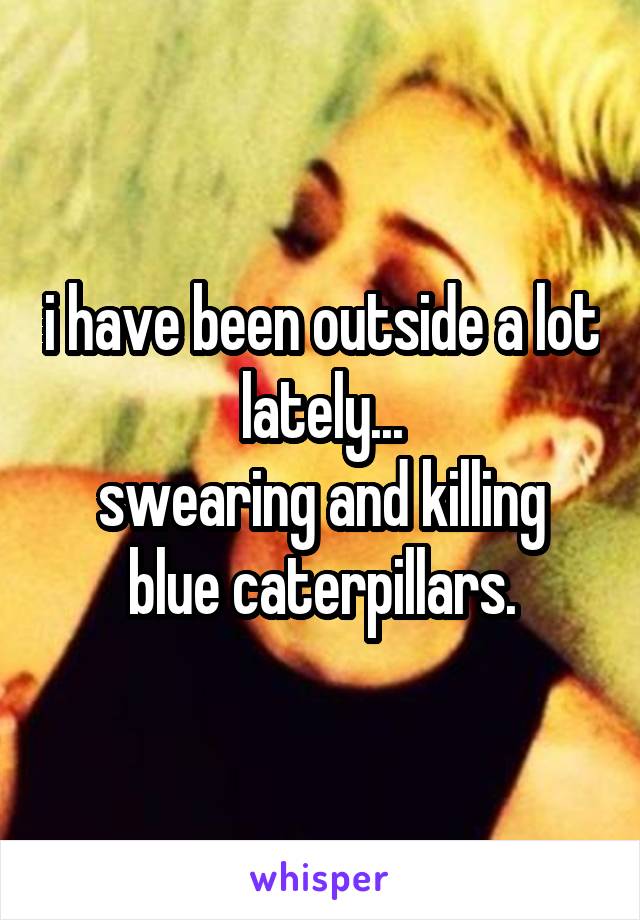 i have been outside a lot lately...
swearing and killing blue caterpillars.