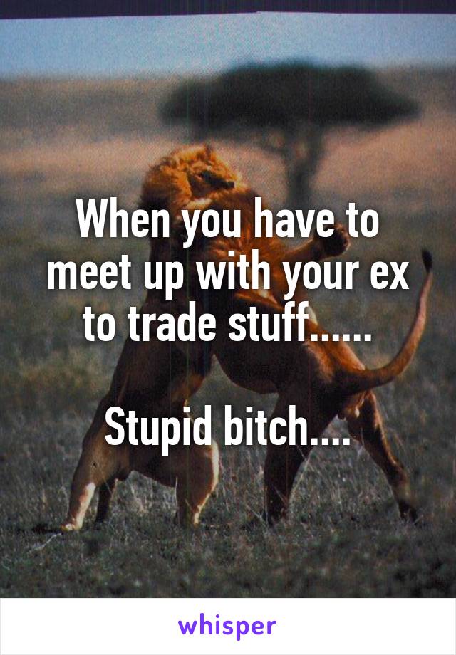 When you have to meet up with your ex to trade stuff......

Stupid bitch....