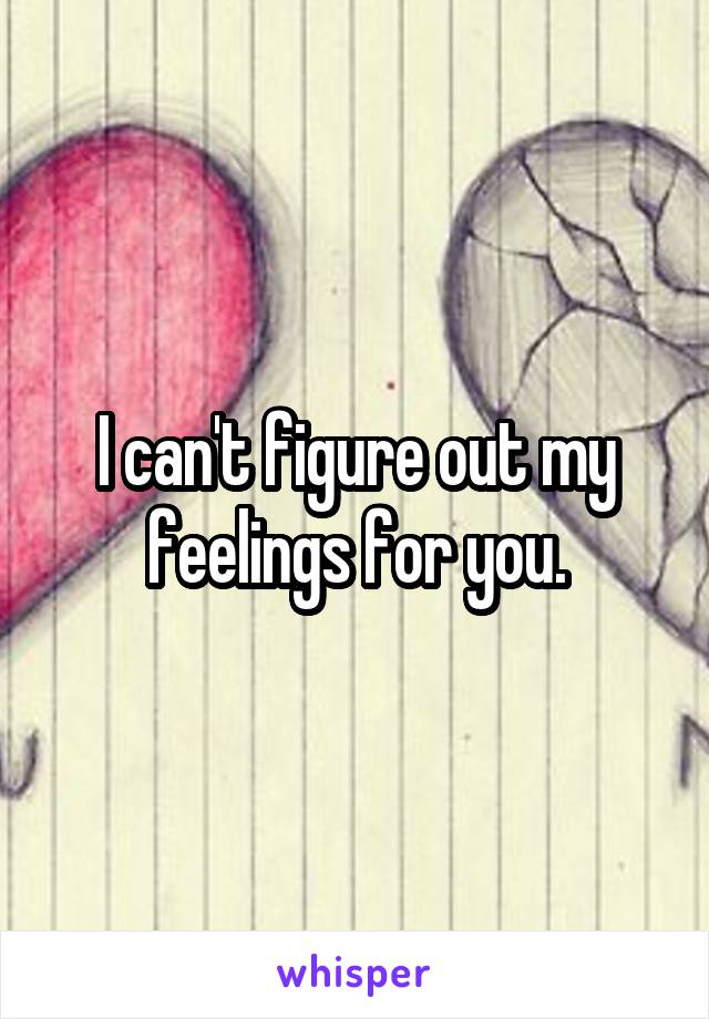 I can't figure out my feelings for you.