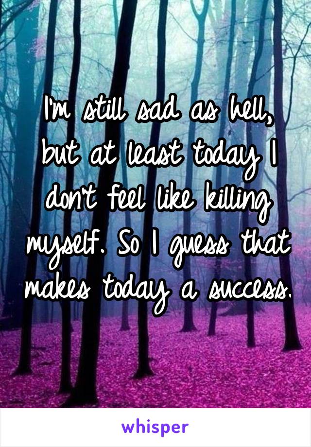 I'm still sad as hell, but at least today I don't feel like killing myself. So I guess that makes today a success. 