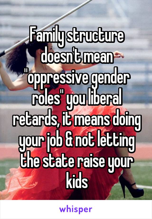 Family structure doesn't mean "oppressive gender roles" you liberal retards, it means doing your job & not letting the state raise your kids