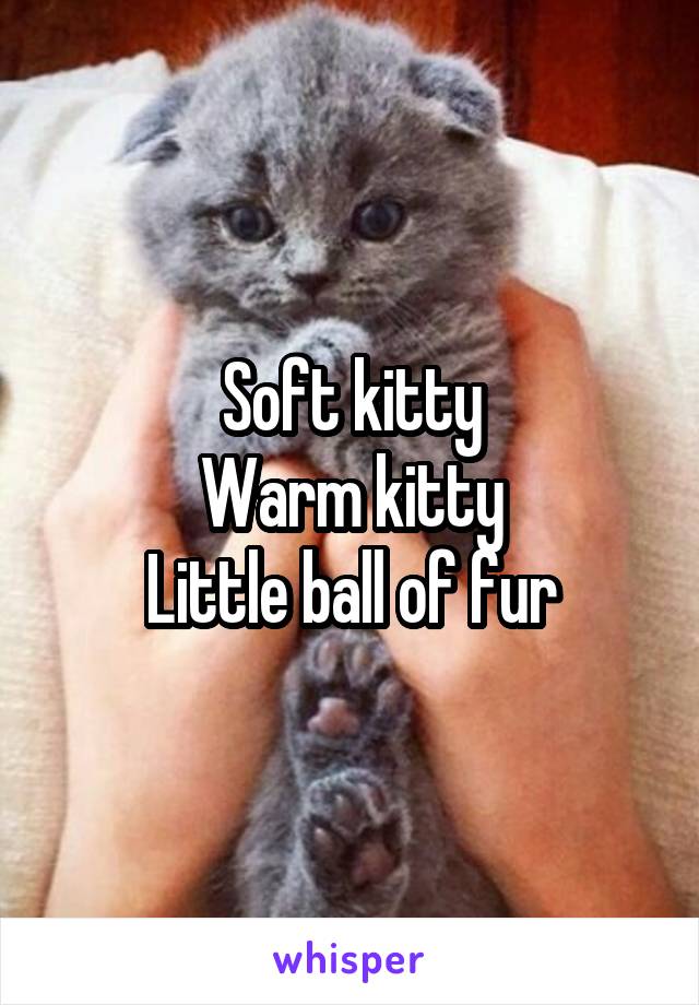 Soft kitty
Warm kitty
Little ball of fur