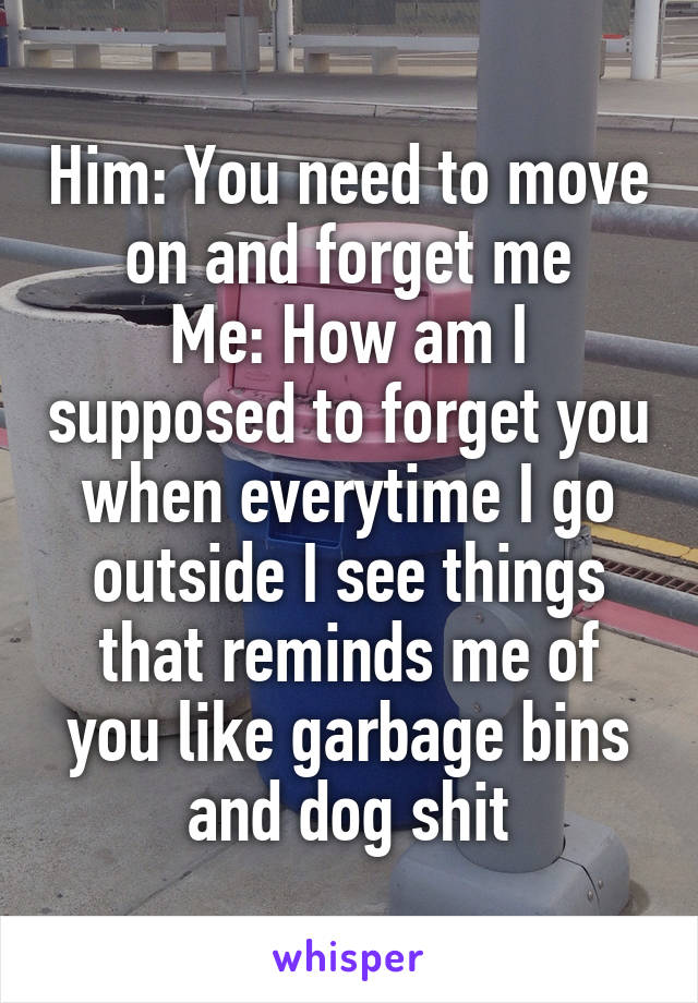 Him: You need to move on and forget me
Me: How am I supposed to forget you when everytime I go outside I see things that reminds me of you like garbage bins and dog shit