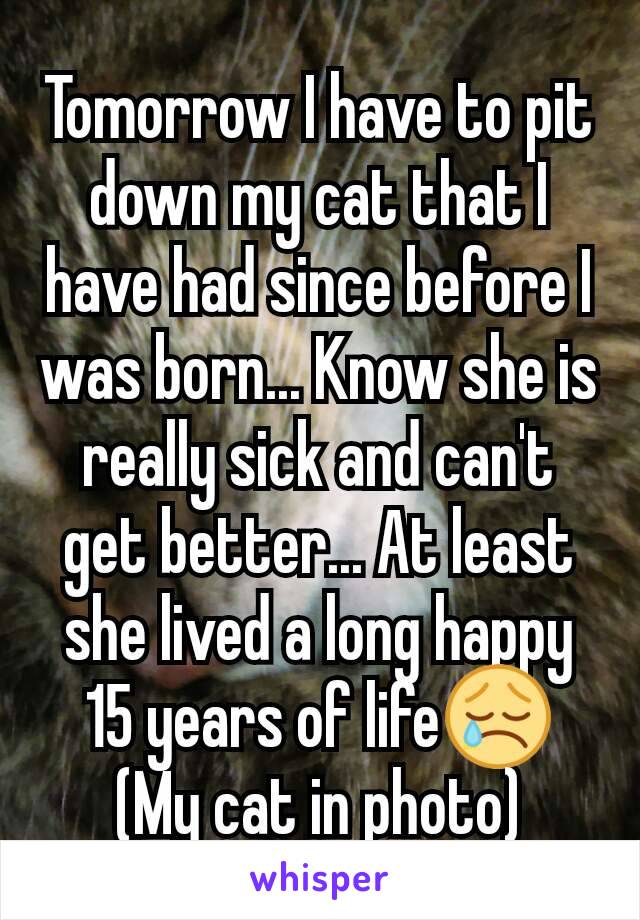 Tomorrow I have to pit down my cat that I have had since before I was born... Know she is really sick and can't get better... At least she lived a long happy 15 years of life😢
(My cat in photo)