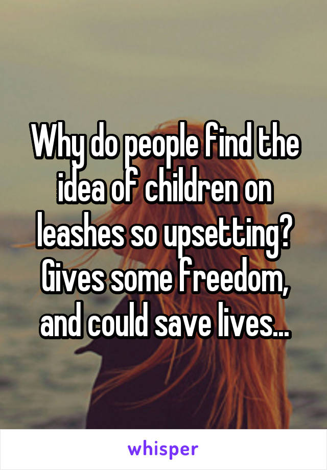 Why do people find the idea of children on leashes so upsetting? Gives some freedom, and could save lives...