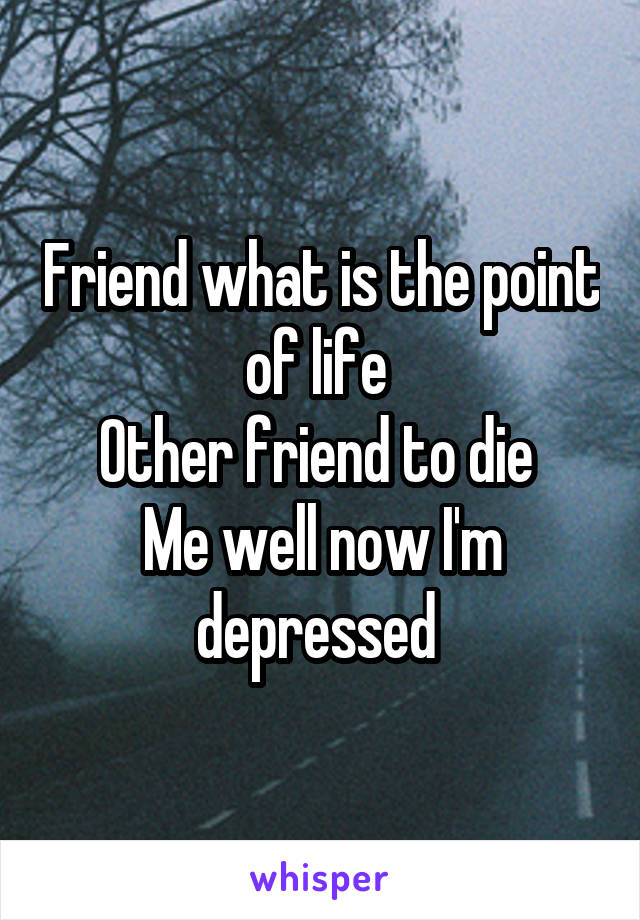 Friend what is the point of life 
Other friend to die 
Me well now I'm depressed 