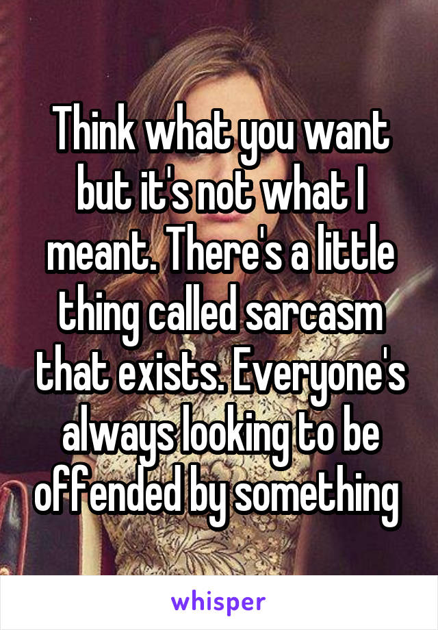 Think what you want but it's not what I meant. There's a little thing called sarcasm that exists. Everyone's always looking to be offended by something 