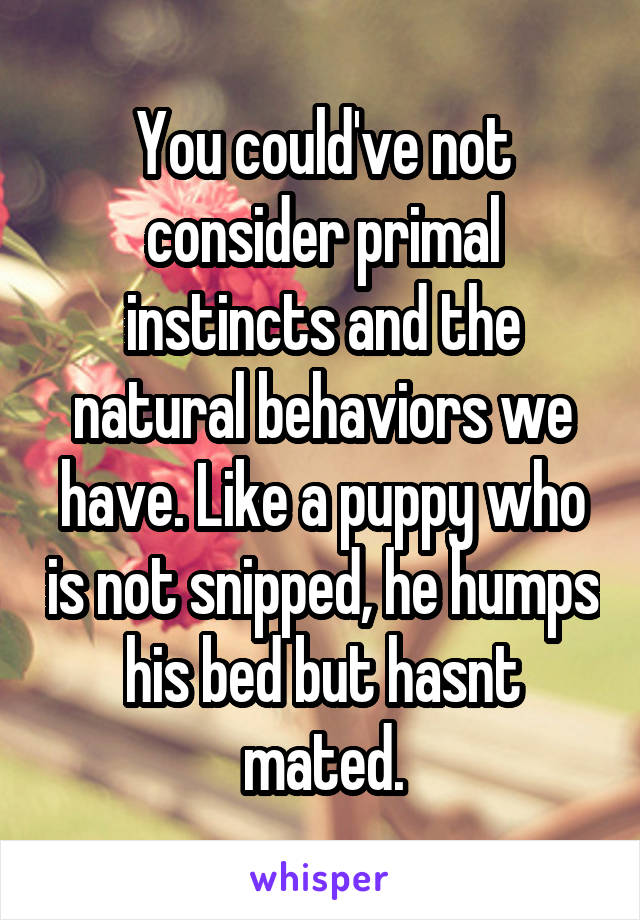 You could've not consider primal instincts and the natural behaviors we have. Like a puppy who is not snipped, he humps his bed but hasnt mated.