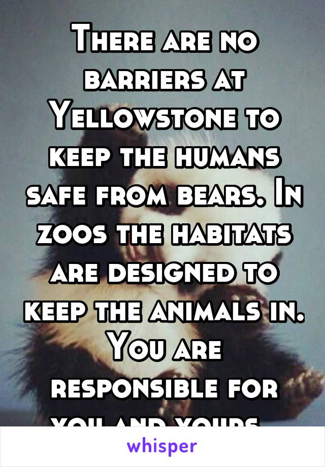 There are no barriers at Yellowstone to keep the humans safe from bears. In zoos the habitats are designed to keep the animals in. You are responsible for you and yours. 